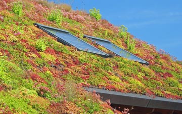 Broad Campden living roof systems